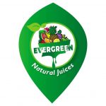 Evergreen Enterprise
