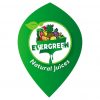 Evergreen Enterprise