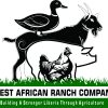 WEST AFRICAN RANCH COMPANY - logo 6 (1)